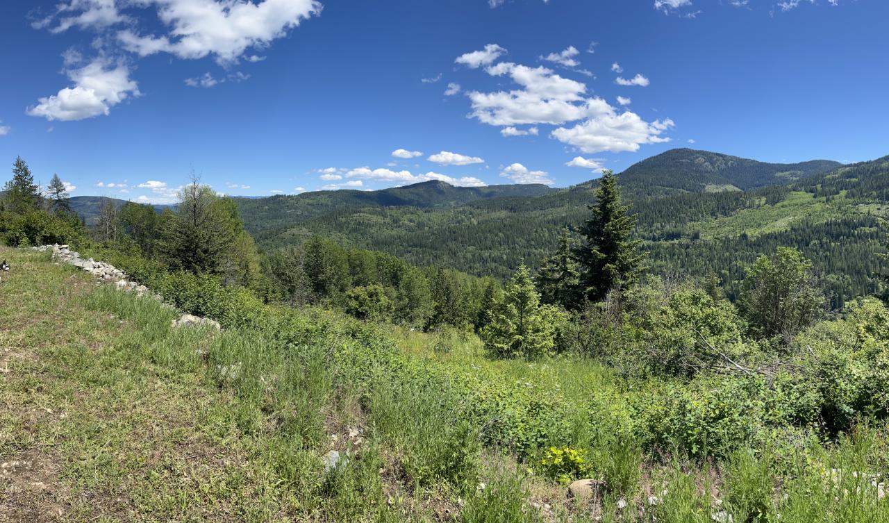 Lot 3 Highway 3b, Rossland, British Columbia  V0G 1Y0 - Photo 18 - 2465879