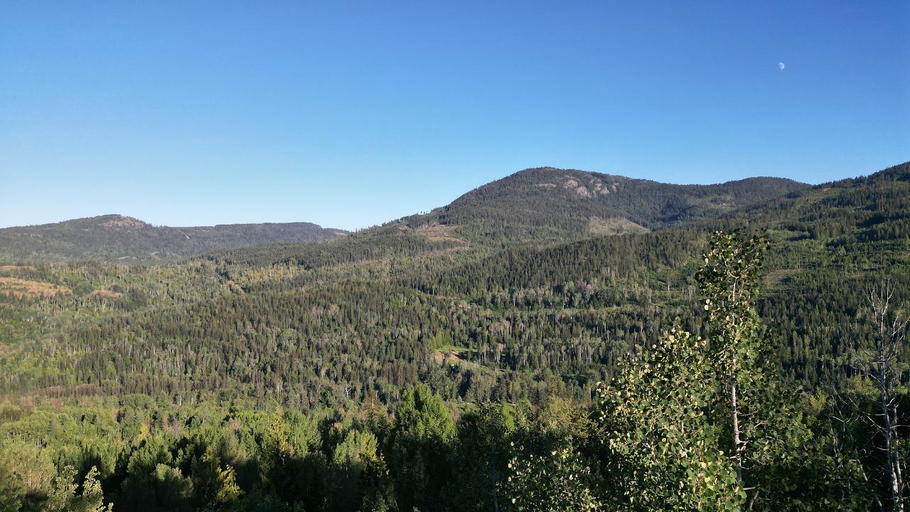 Lot 3 Highway 3b, Rossland, British Columbia  V0G 1Y0 - Photo 53 - 2465879