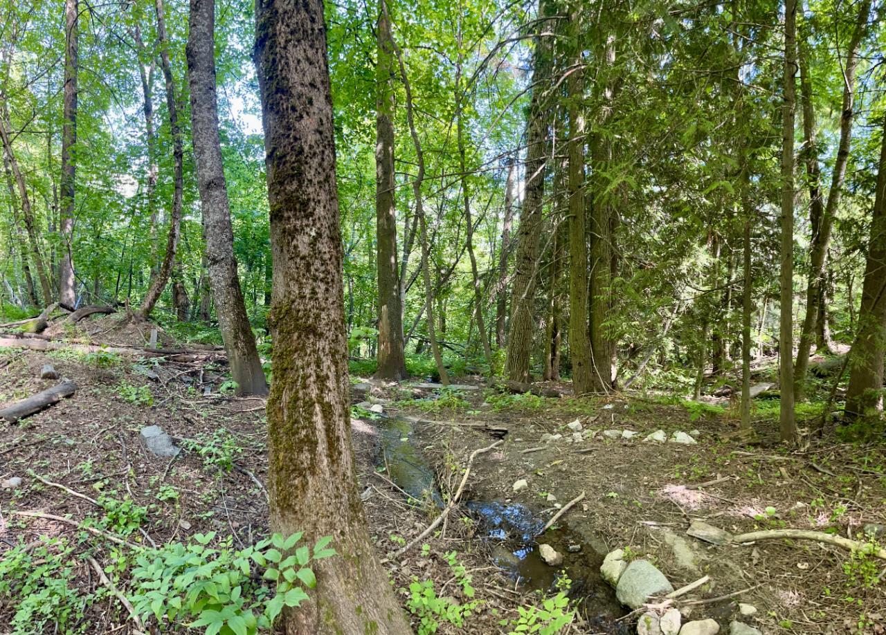 Lot 3 Highway 3b, Rossland, British Columbia  V0G 1Y0 - Photo 29 - 2465879