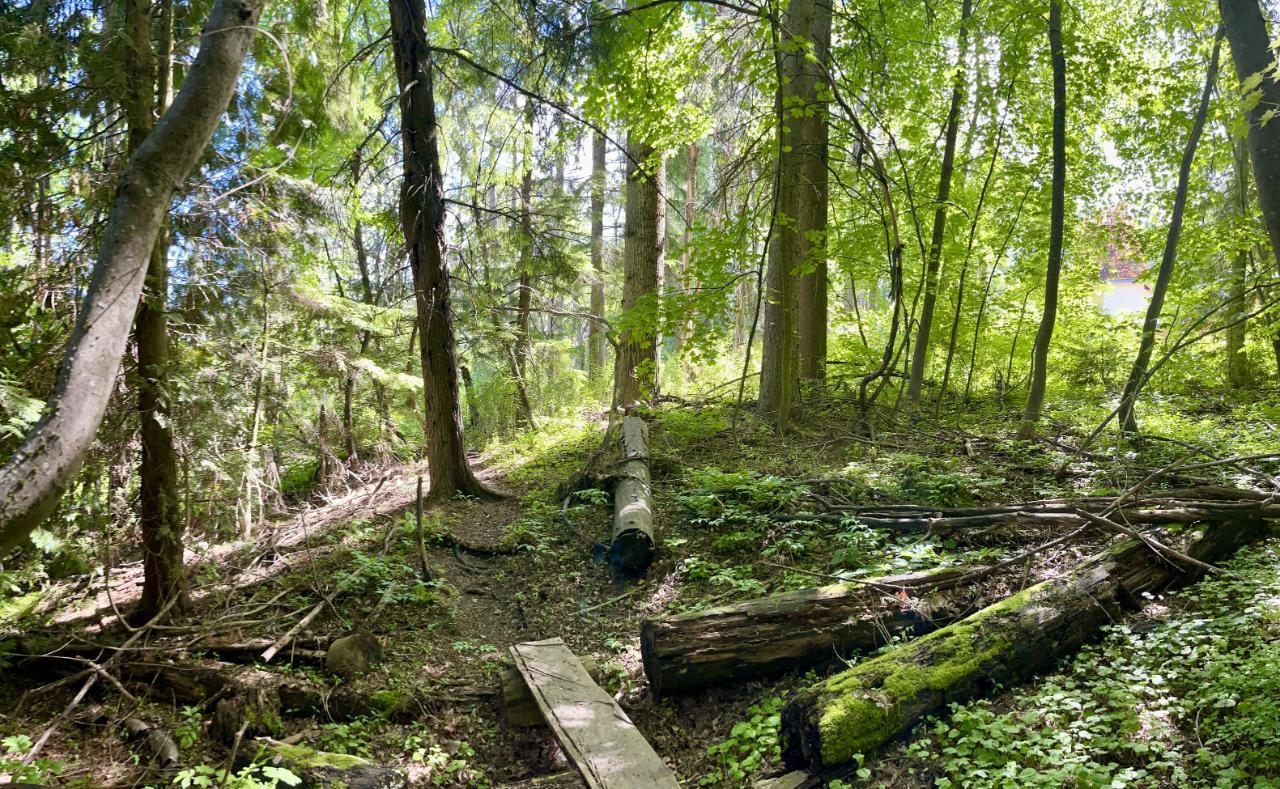 Lot 3 Highway 3b, Rossland, British Columbia  V0G 1Y0 - Photo 37 - 2465879