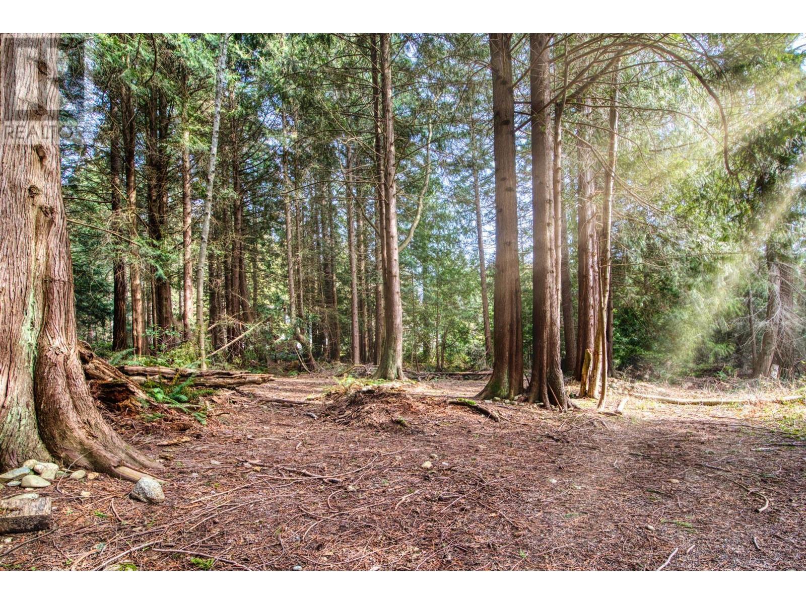 2126 Sunshine Coast Highway, Roberts Creek, British Columbia  V0N 2W5 - Photo 39 - R2826371