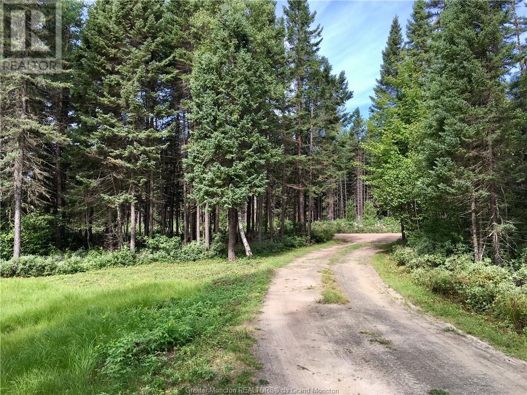 702 Forks Stream Rd, New Canaan, New Brunswick  E4Z 5Z8 - Photo 6 - M155828