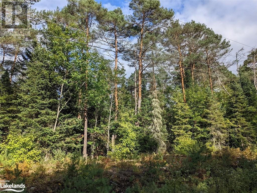 Lot 1 Stephenson 1 Road, Bracebridge, Ontario  P0B 1L0 - Photo 10 - 40502903