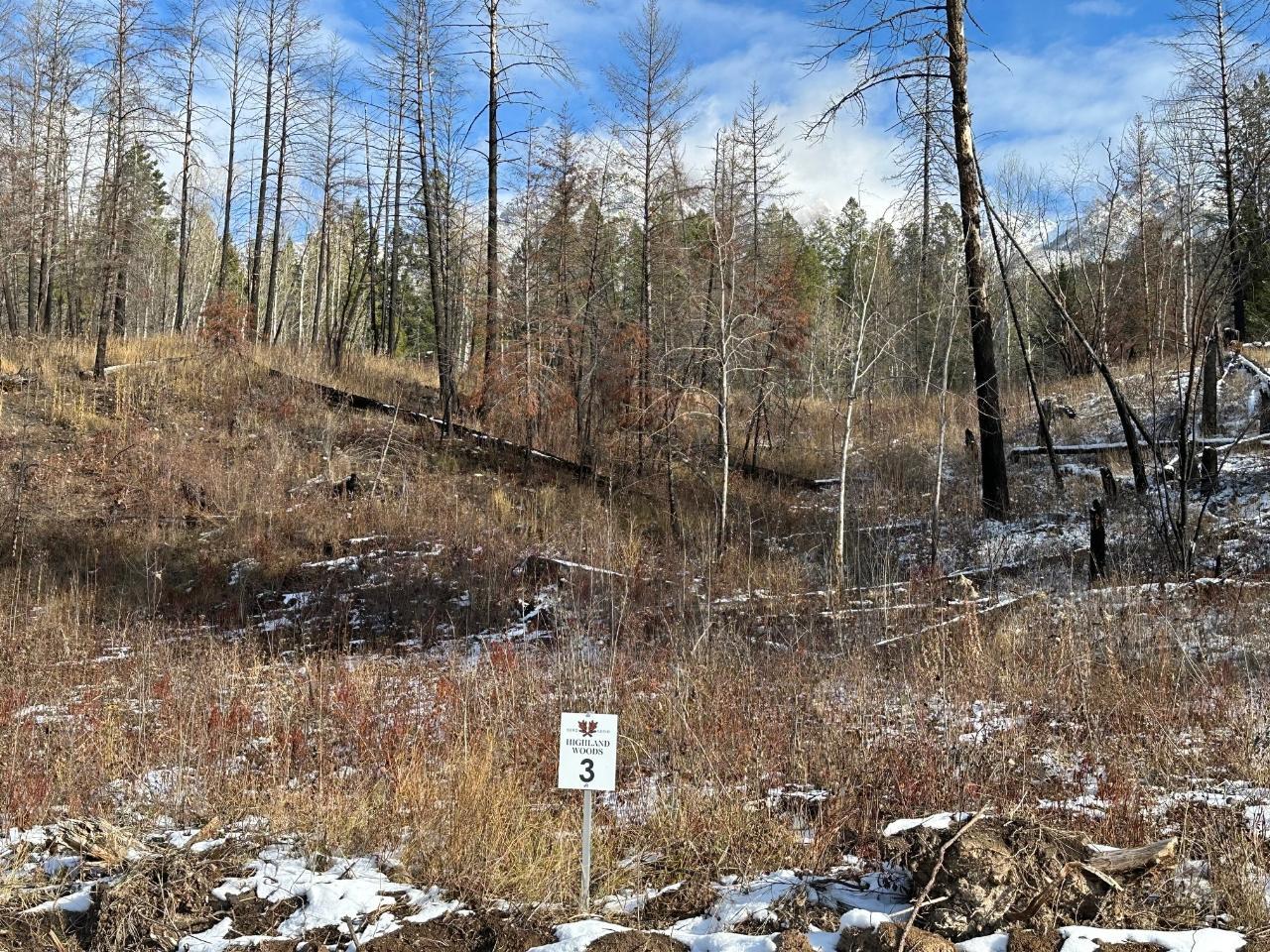 Lot 3 Fairmont Resort Road, Fairmont Hot Springs, British Columbia  V0B 1L1 - Photo 3 - 2473762