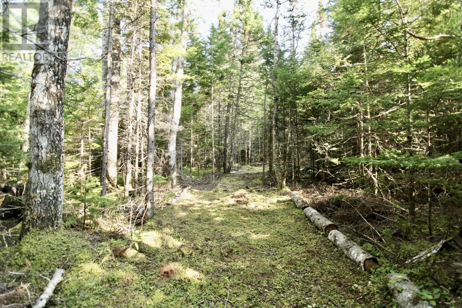 1185 Beaton, Glencoe Station, Nova Scotia  B0E 2W0 - Photo 22 - 202318053