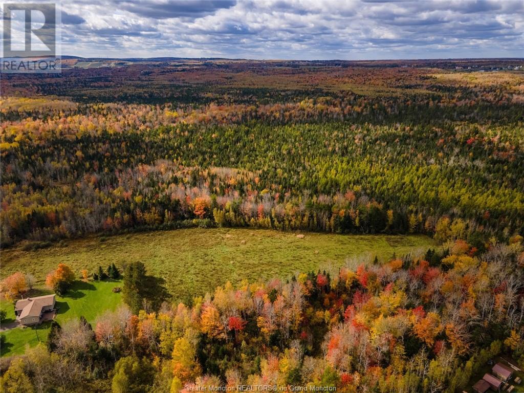 Lot Maclean Crossroad, Irishtown, New Brunswick  E1H 1R6 - Photo 9 - M155858