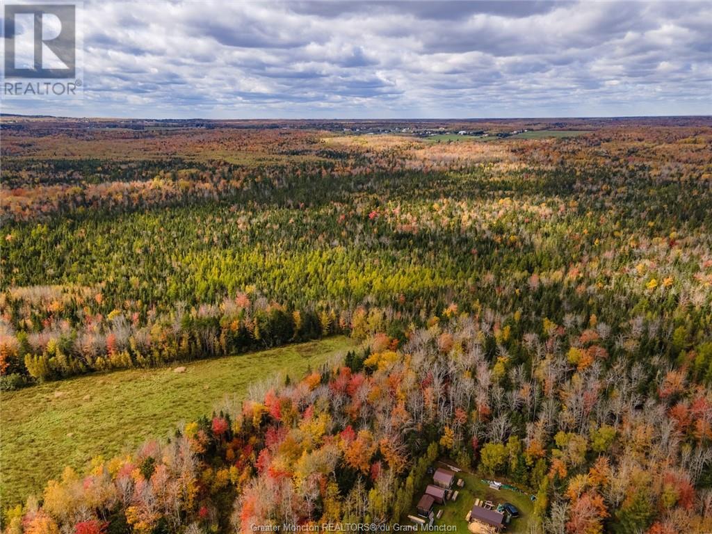 Lot Maclean Crossroad, Irishtown, New Brunswick  E1H 1R6 - Photo 8 - M155858