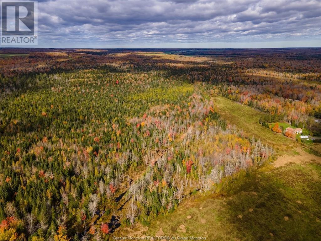 Lot Maclean Crossroad, Irishtown, New Brunswick  E1H 1R6 - Photo 6 - M155858