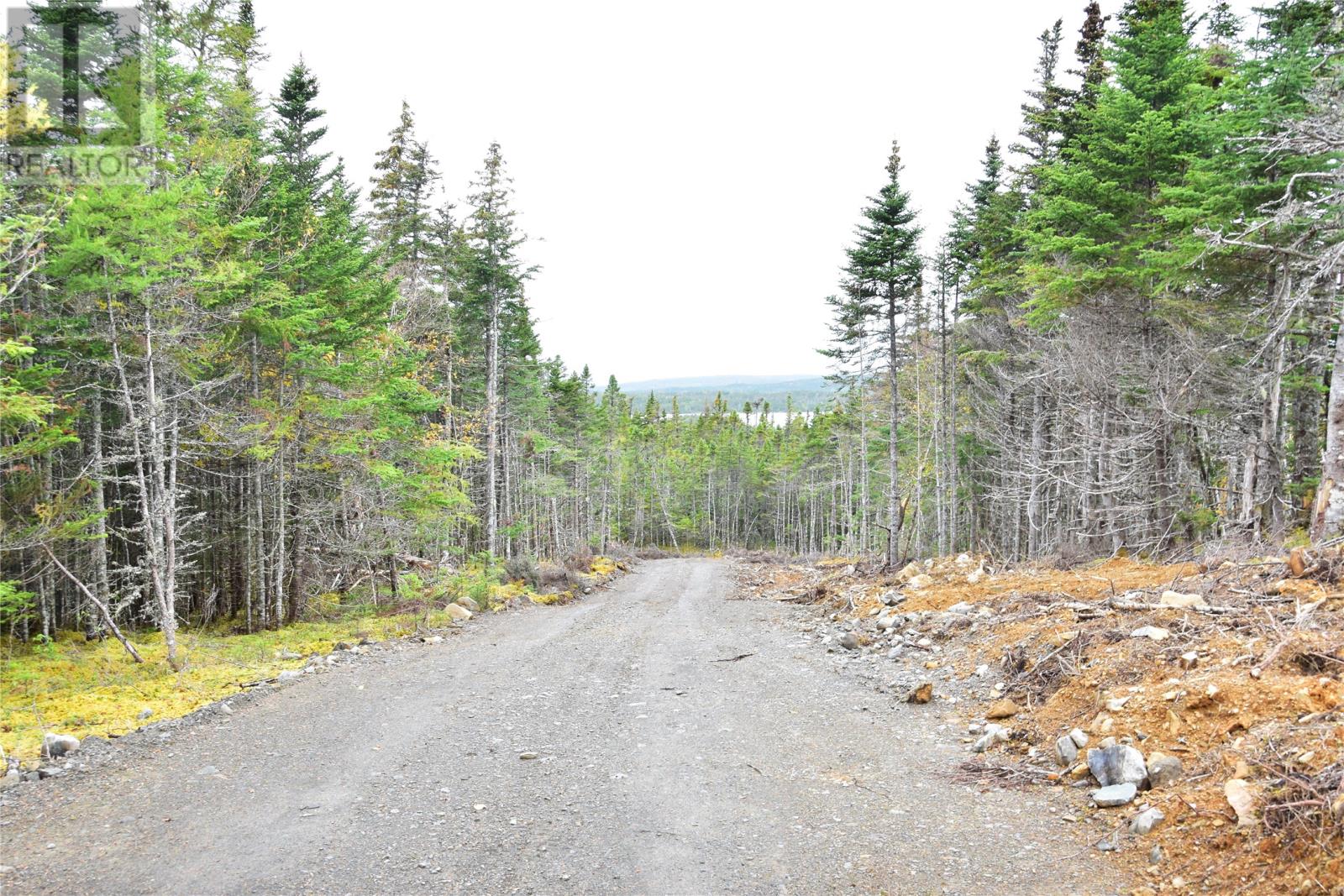 Lot 3 Second Pond Road, shearstown / butlerville, Newfoundland & Labrador