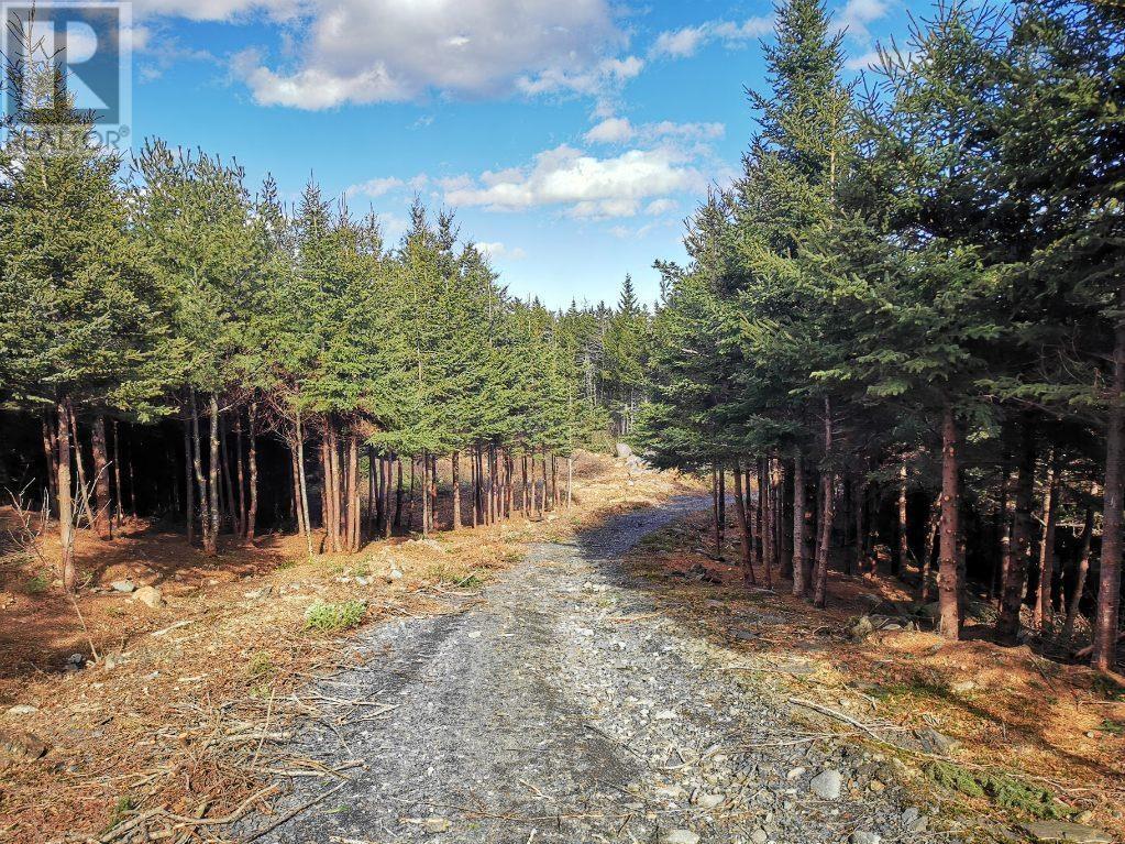 Lot Italy Cross Road, Petite Rivière, Nova Scotia  B4V 5W7 - Photo 30 - 202316157