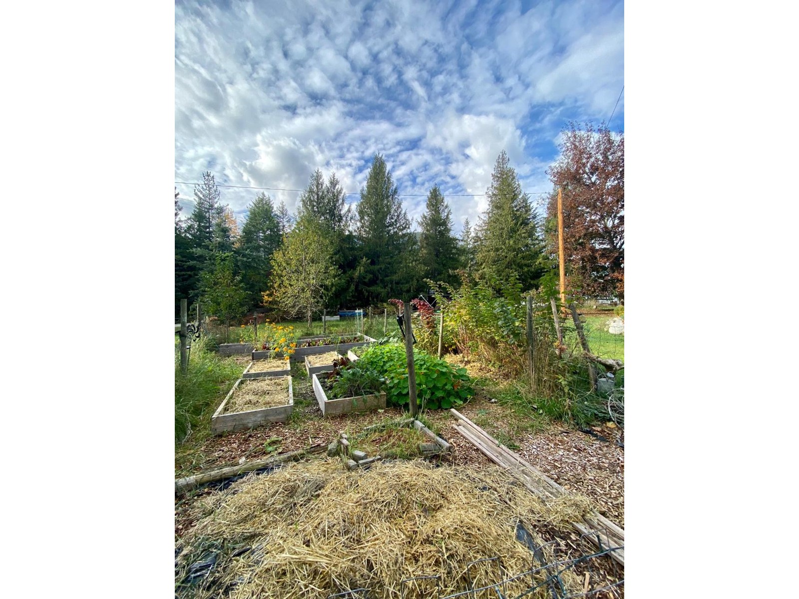 507 Arlington Road, Slocan, British Columbia  V0G 2C0 - Photo 6 - 2473811