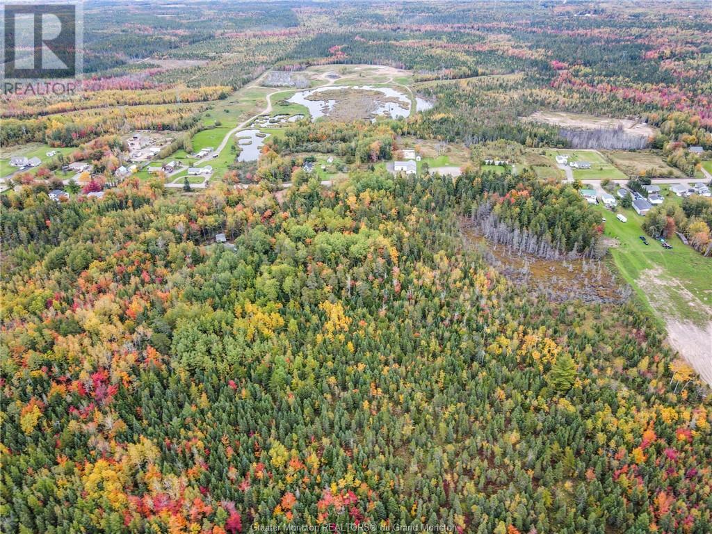 867 Pine Glen Rd, Riverview, New Brunswick  E1J 1R7 - Photo 3 - M155880