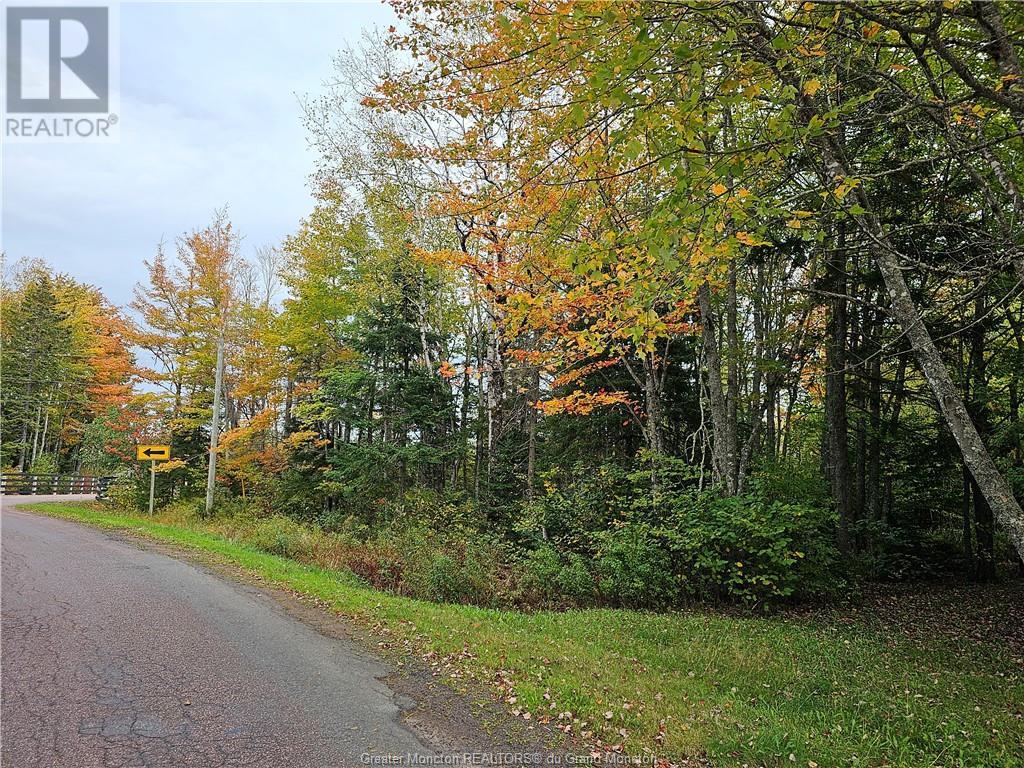 Lot Maclean Cross Rd, Irishtown, New Brunswick  E1H 1R6 - Photo 2 - M155561