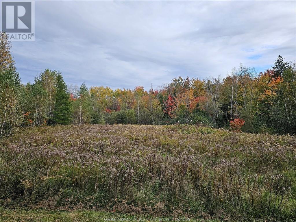 Lot Maclean Cross Rd, Irishtown, New Brunswick  E1H 1R6 - Photo 3 - M155561