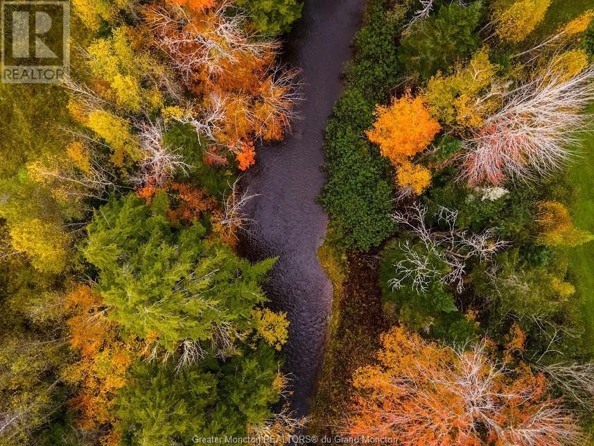 Lot Maclean Cross Rd, Irishtown, New Brunswick  E1H 1R6 - Photo 7 - M155561