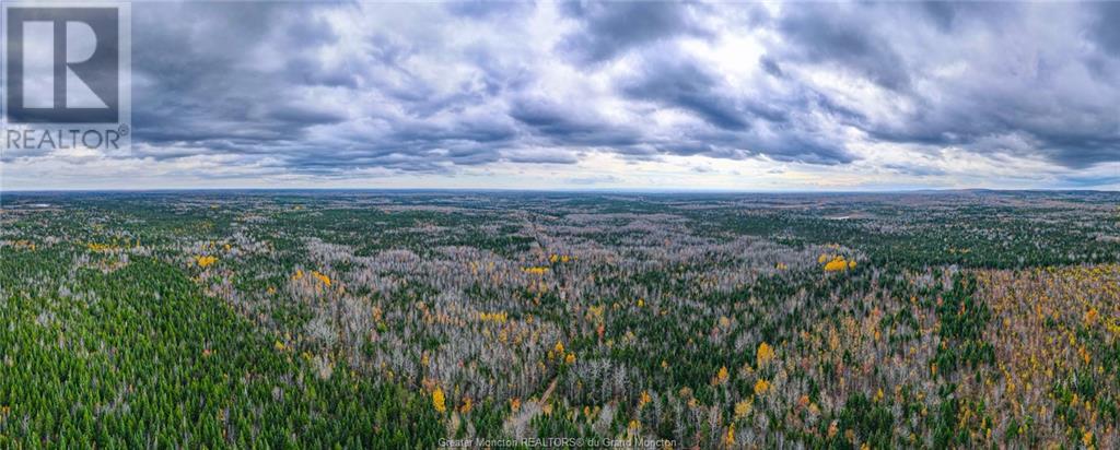 Lot Route 115, Irishtown, New Brunswick  E1H 1V8 - Photo 6 - M155935