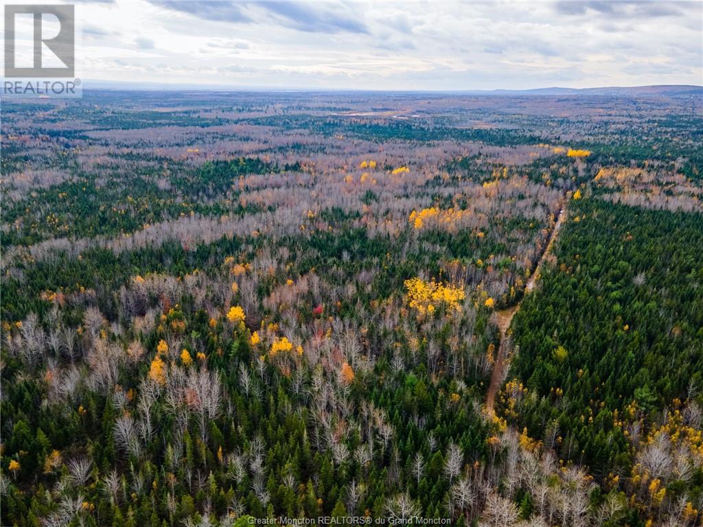 Lot Route 115, Irishtown, New Brunswick  E1H 1V8 - Photo 3 - M155935