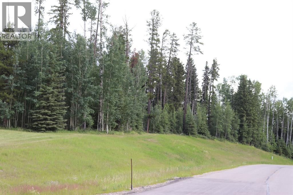 48, 16511 Township Road 532a Subdivision, Rural Yellowhead County, Alberta  T7E 3A6 - Photo 4 - A1128566