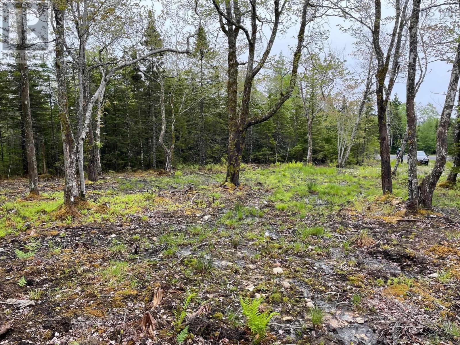 Lot 1a-81 Maple Drive, Cape George Estates, Nova Scotia  B0E 3B0 - Photo 1 - 202302812