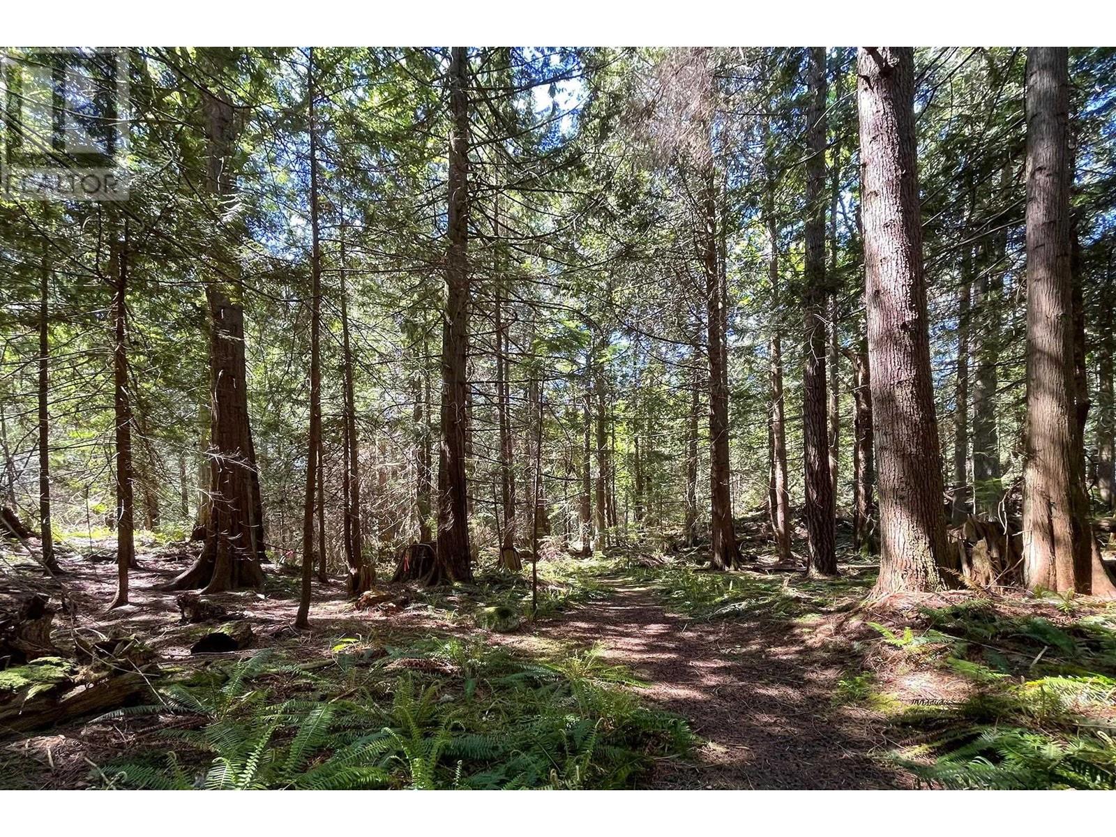 1473 Adams Road, Bowen Island, British Columbia  V0N 1G2 - Photo 30 - R2807698