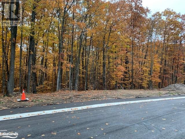 lot 69 whispering pine circle, tiny