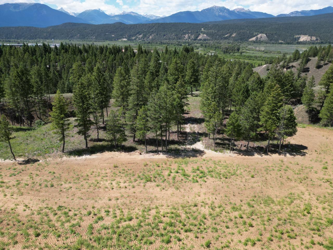 Lot 12 Saddlewood Lane, Radium Hot Springs, British Columbia  V0A 1M0 - Photo 4 - 2473863