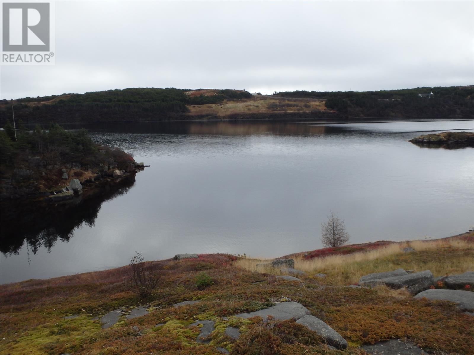 0 Miller's Road, Champney's Arm, Newfoundland & Labrador  A0C 2H0 - Photo 2 - 1264998