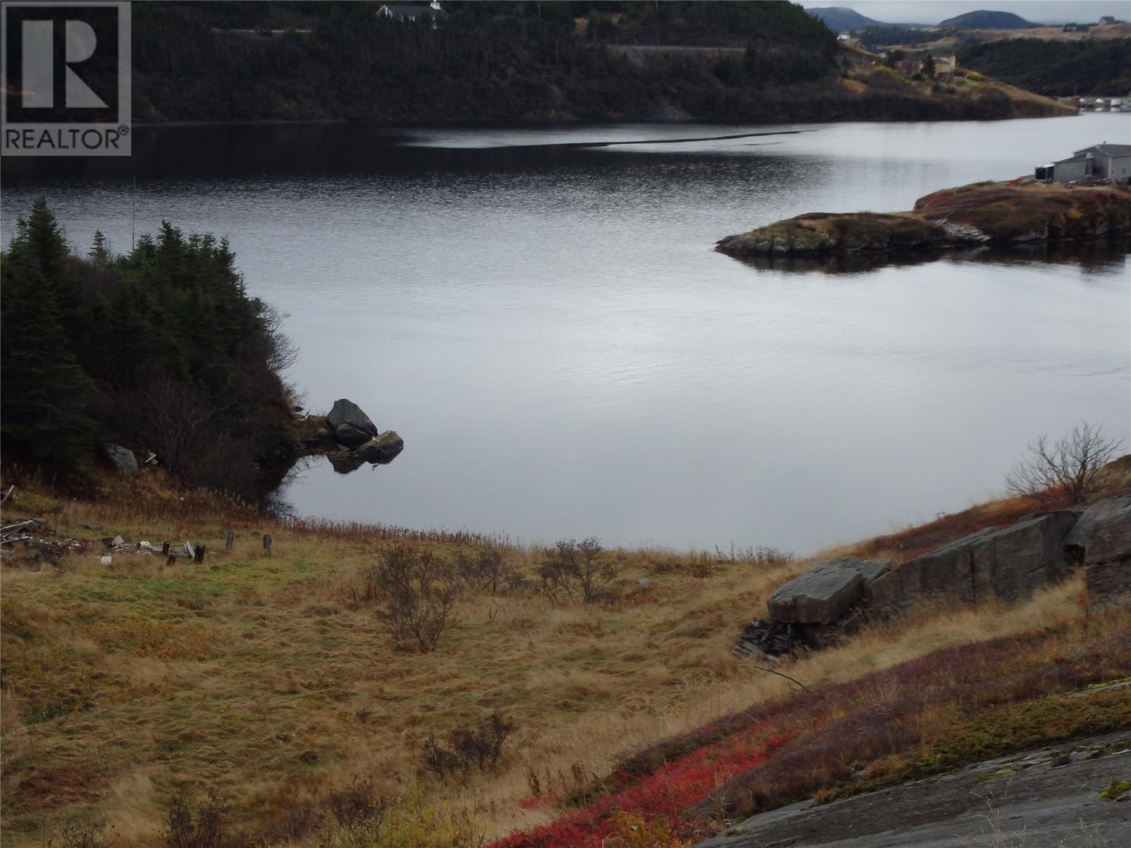 0 Miller's Road, Champney's Arm, Newfoundland & Labrador  A0C 2H0 - Photo 6 - 1264998