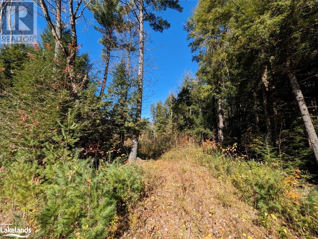 2741 118 Highway E, Bracebridge, Ontario P1L 1X1 (26227352) Mardy van