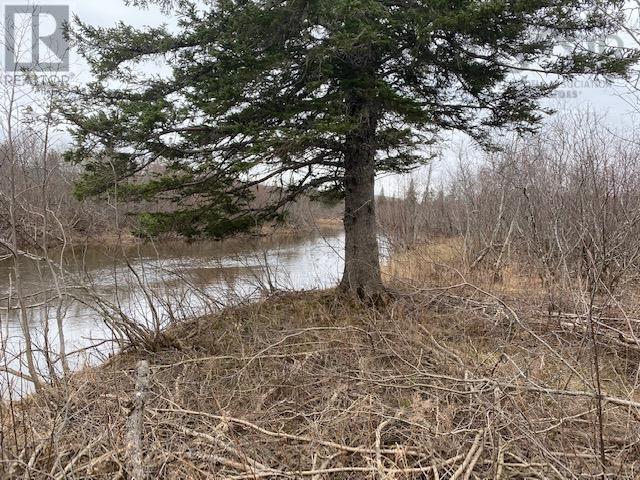 Barren Road, river denys, Nova Scotia