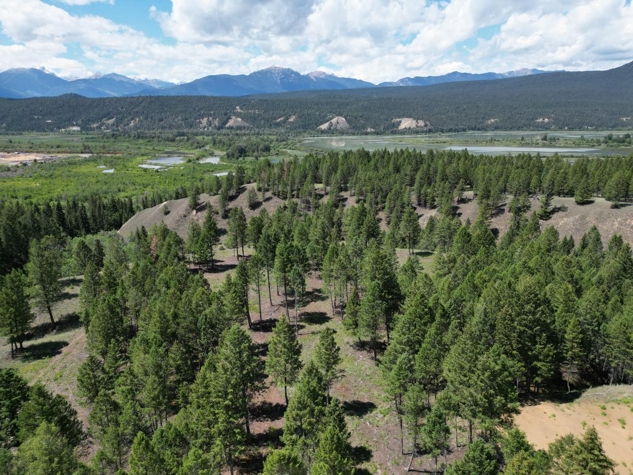 Lot 16 Saddlewood Lane, Radium Hot Springs, British Columbia  V0A 1M0 - Photo 2 - 2473866