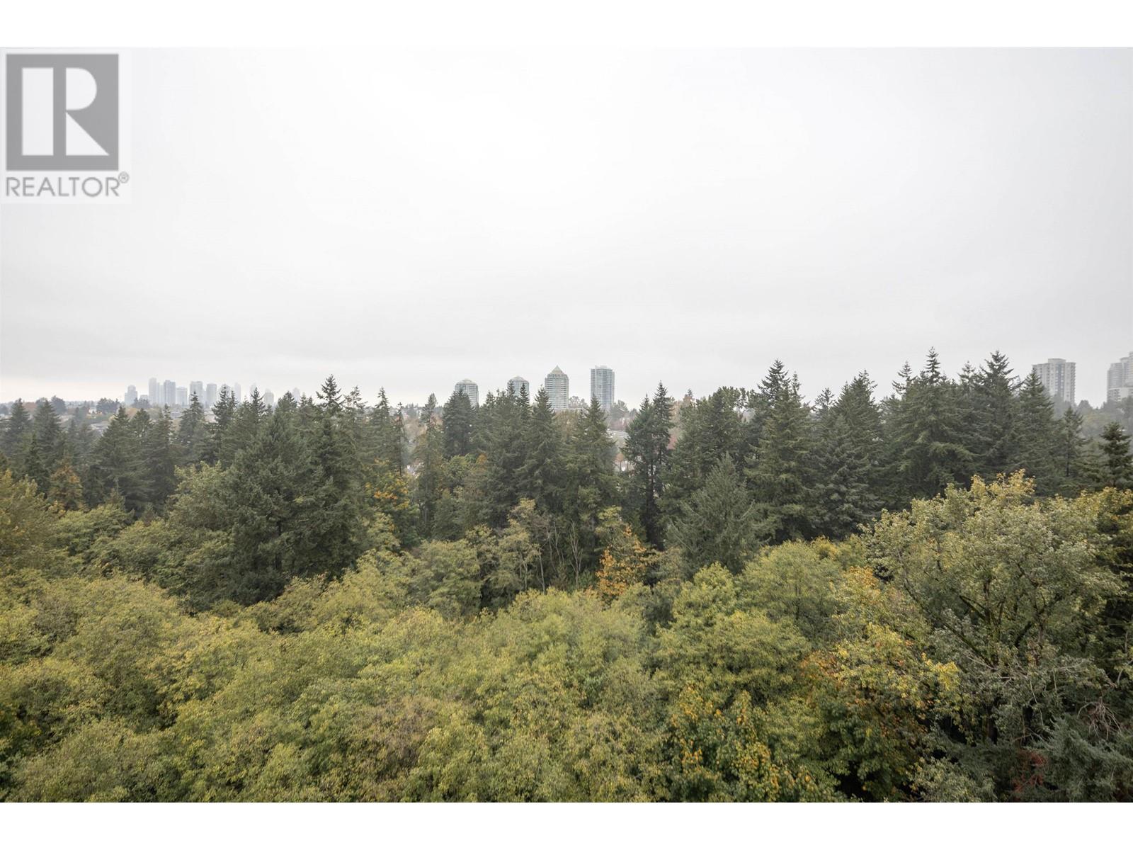 1401 6837 Station Hill Drive, Burnaby, British Columbia  V3N 5B7 - Photo 13 - R2828565