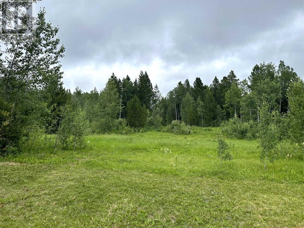 345049 Range Road 5-1, Rural Clearwater County, Alberta  T0M 1C0 - Photo 32 - A2062553