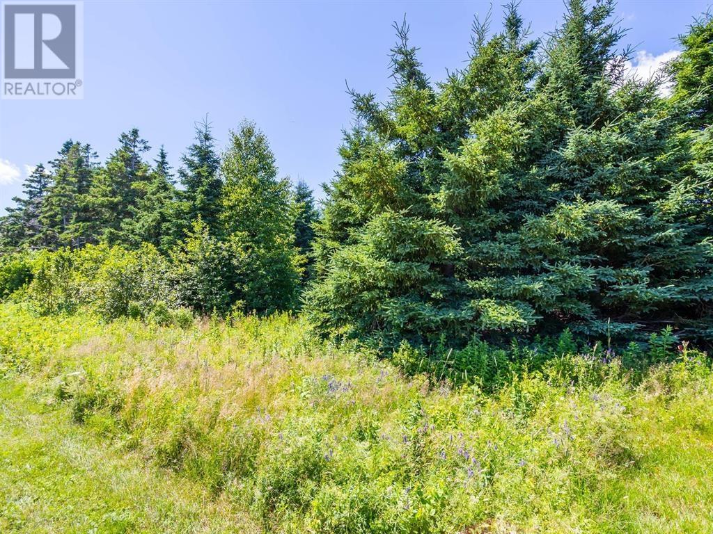 Lot #50 New Seabury Drive, Rustico, Prince Edward Island  C0A 1N0 - Photo 4 - 202323077