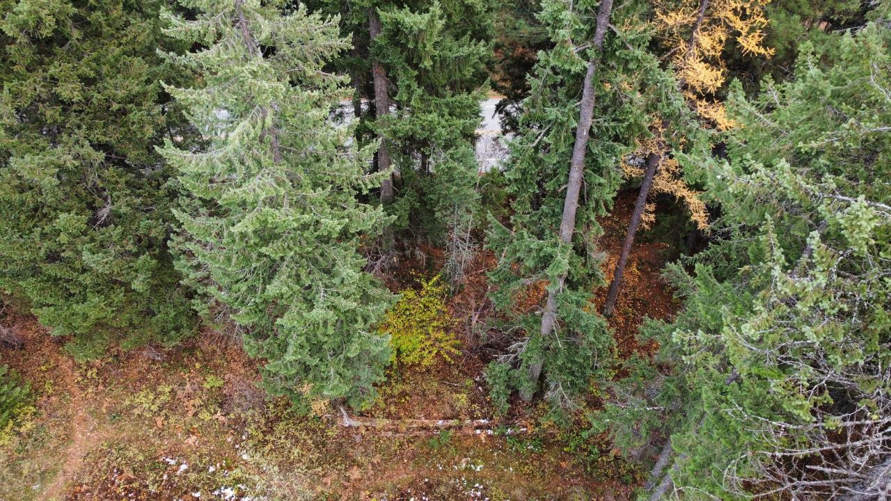 Lot L View Ridge Road, Nelson, British Columbia  V0G 2G0 - Photo 15 - 2473882