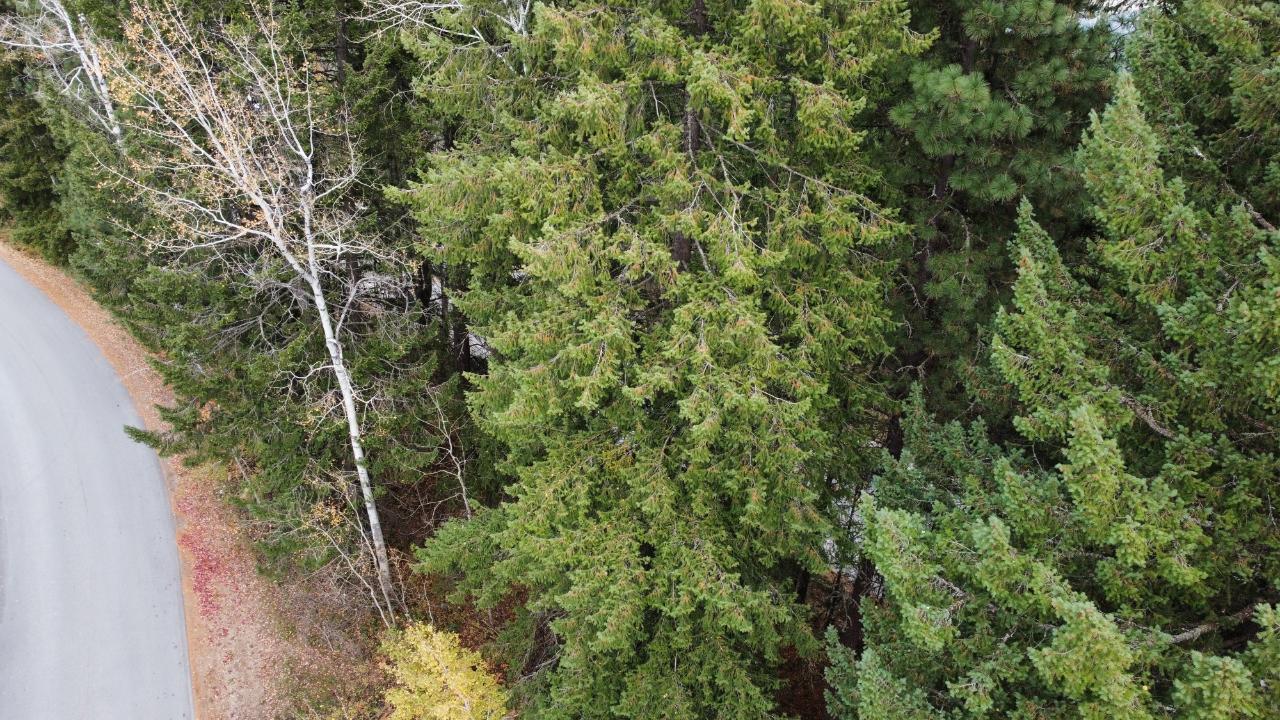 Lot L View Ridge Road, Nelson, British Columbia  V0G 2G0 - Photo 16 - 2473882