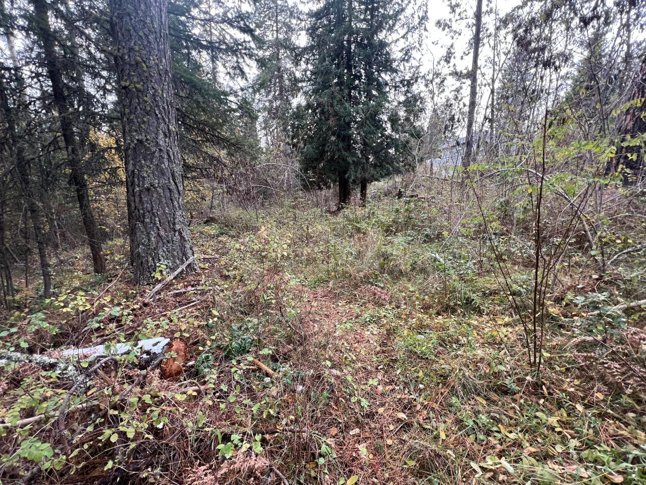 Lot L View Ridge Road, Nelson, British Columbia  V0G 2G0 - Photo 22 - 2473882