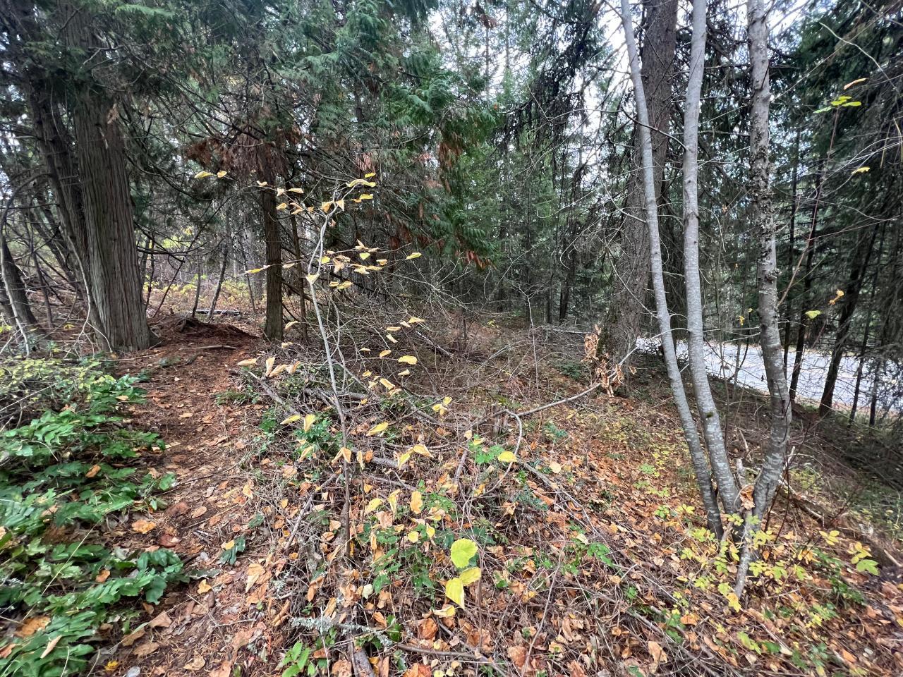 Lot L View Ridge Road, Nelson, British Columbia  V0G 2G0 - Photo 24 - 2473882