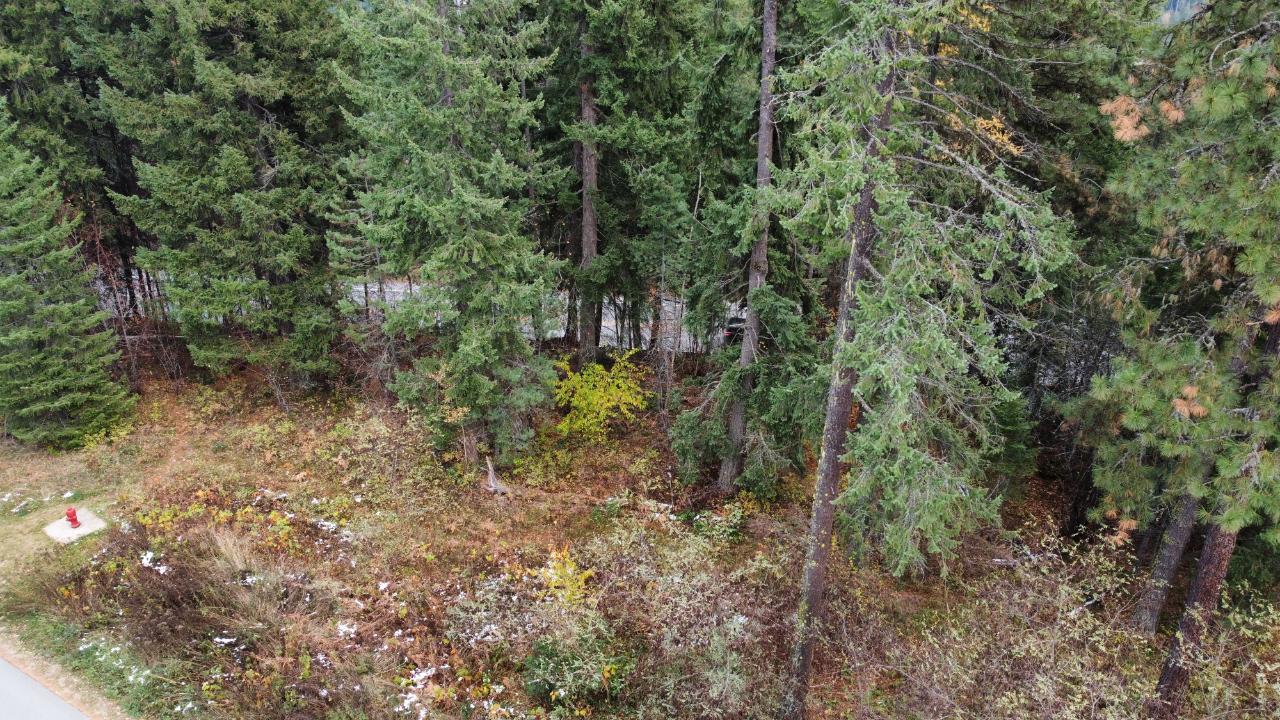 Lot L View Ridge Road, Nelson, British Columbia  V0G 2G0 - Photo 8 - 2473882