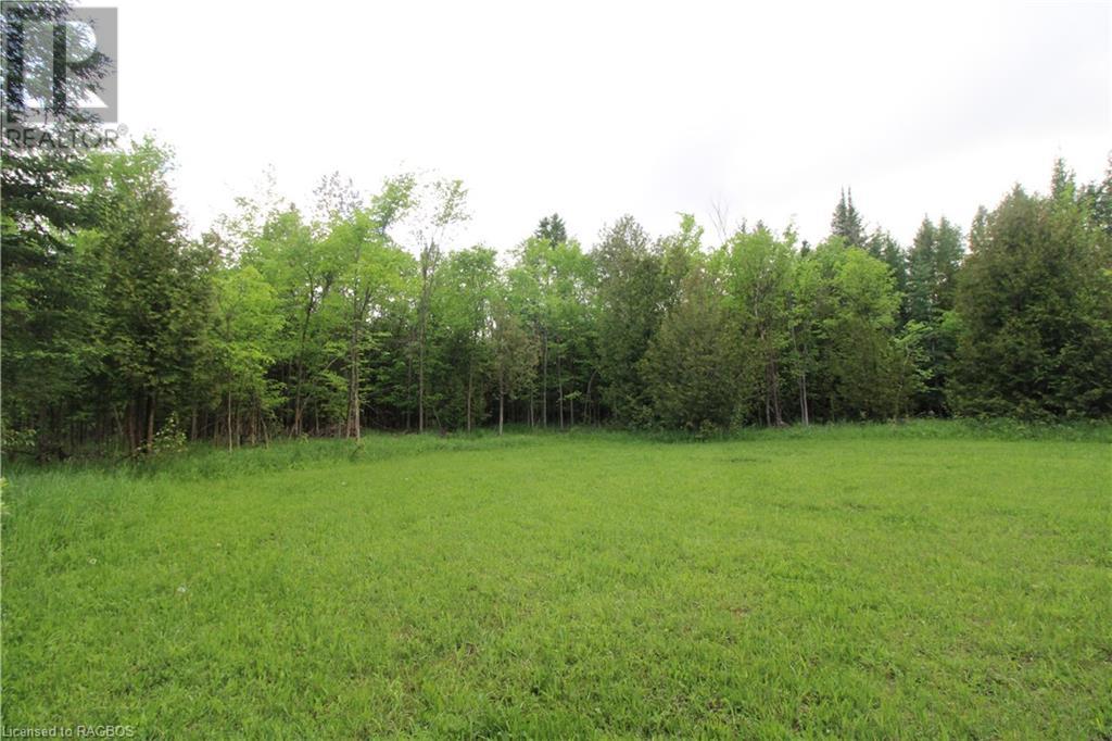 315338 Highway 6, Chatsworth, Ontario  N0H 2V0 - Photo 46 - 40507372