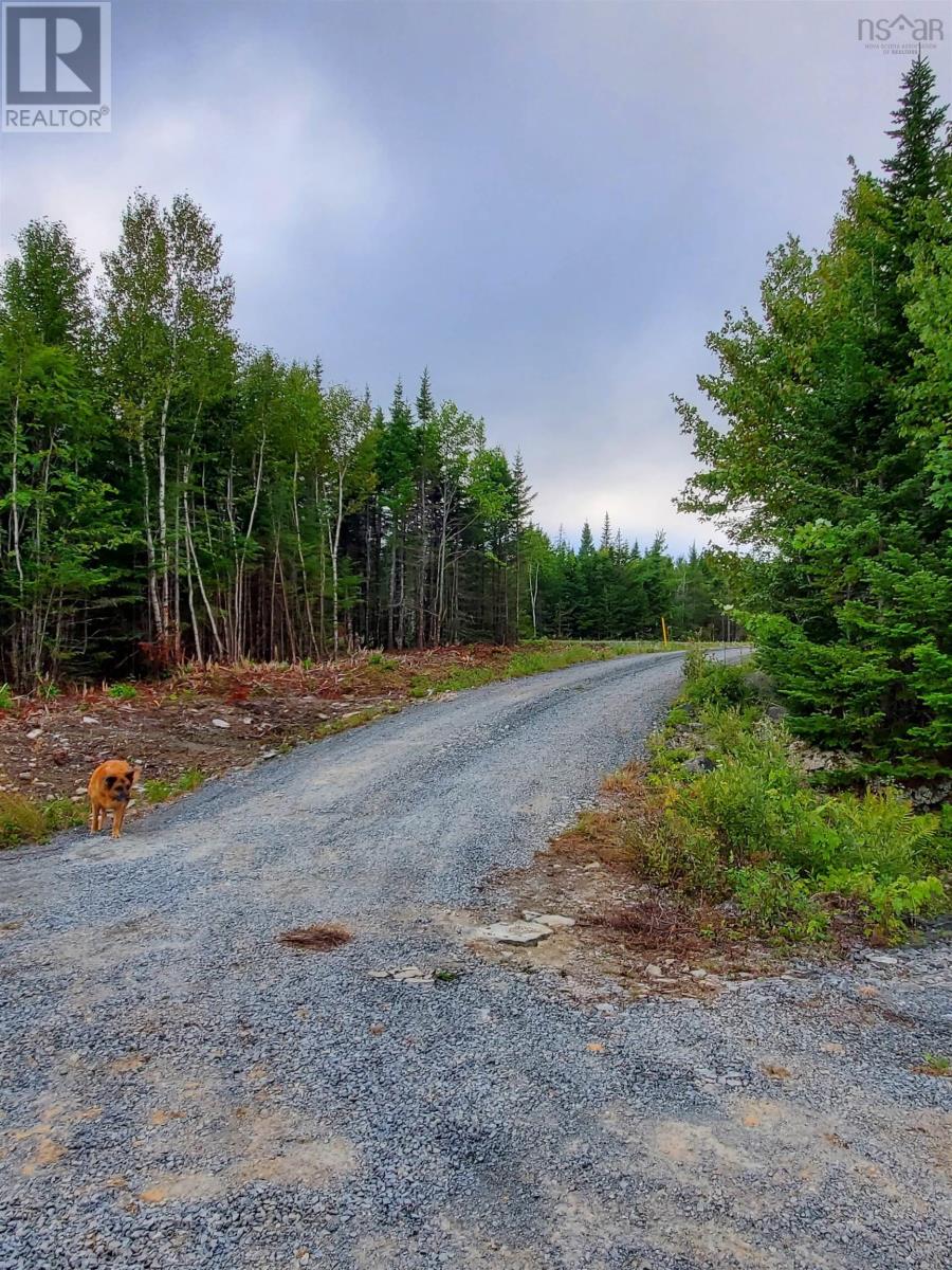 Lot 29 36 Riverside Drive, Goldenville, Nova Scotia  B0J 3C0 - Photo 7 - 202323208