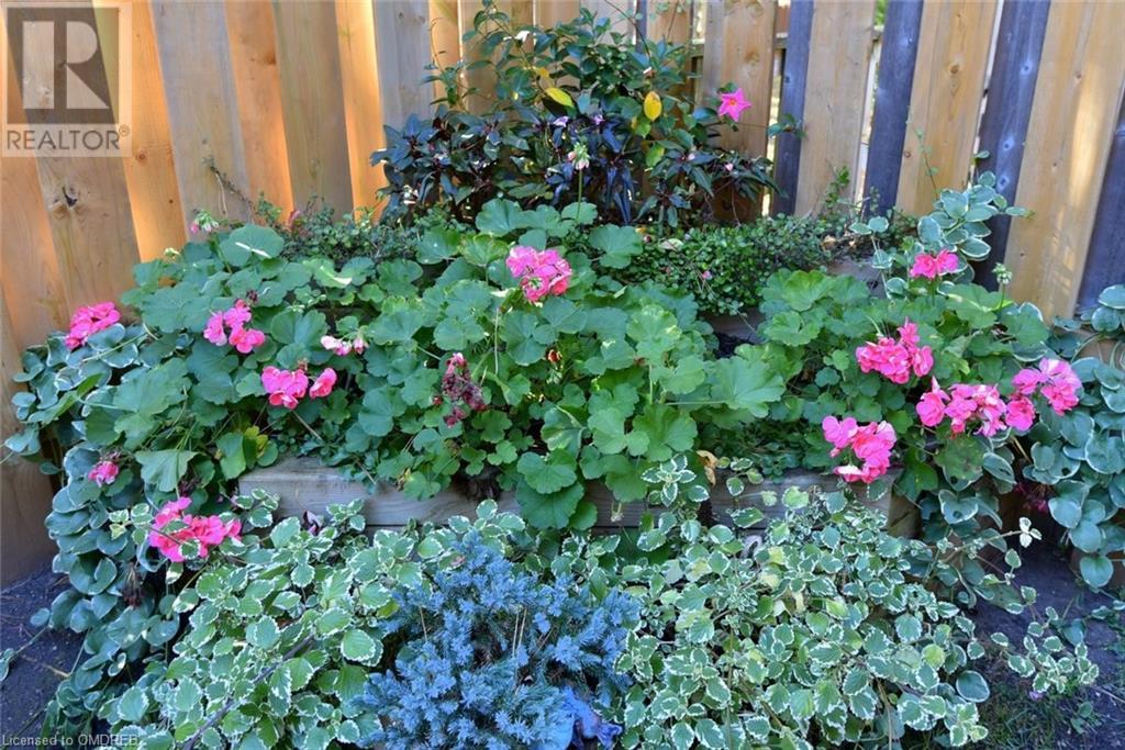 Image of property at 4191 LONGMOOR Drive Unit# 4