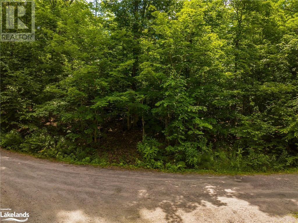 0 Creek Trail, Whitestone, Ontario  P0A 1G0 - Photo 3 - 40508294