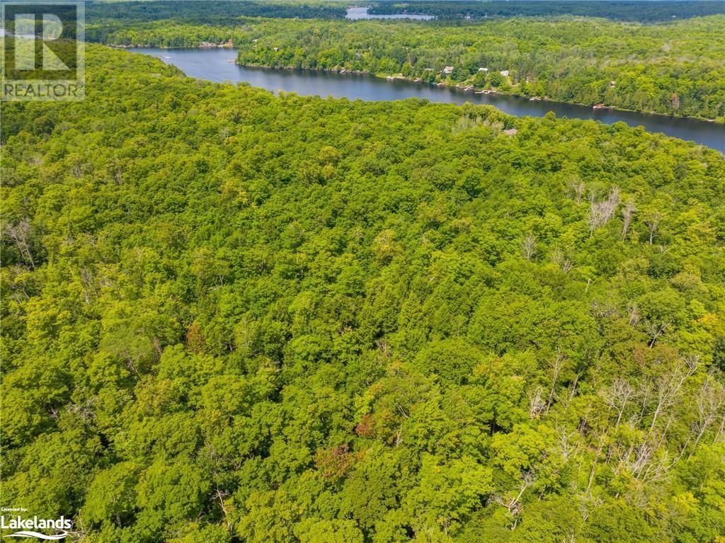 0 Creek Trail, Whitestone, Ontario  P0A 1G0 - Photo 6 - 40508294