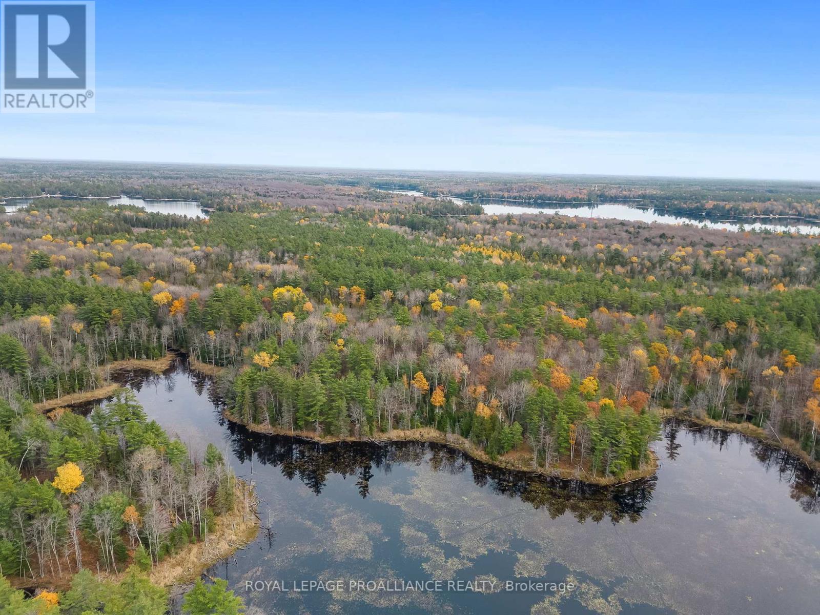 0 West Clear Bay Rd, Galway-Cavendish And Harvey, Ontario  K0M 2K0 - Photo 16 - X7254542