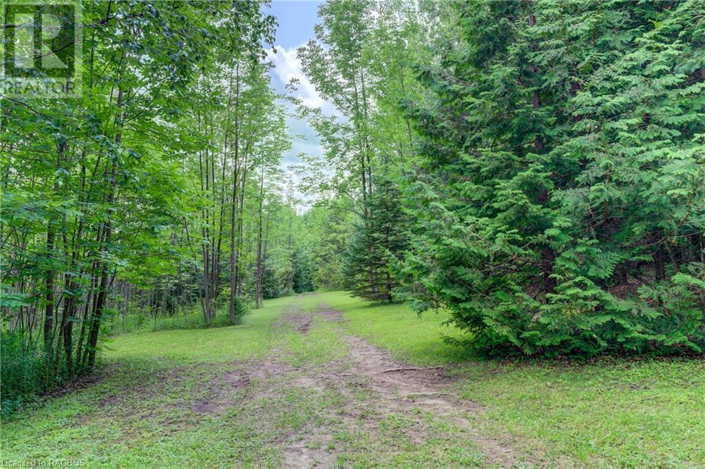 442696 Sideroad 12 Wgr, West Grey, Ontario  N0G 1R0 - Photo 19 - 40508368