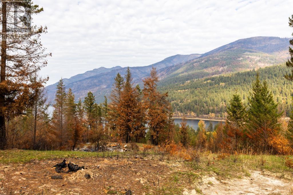 8767 Holding Rd, Adams Lake, British Columbia  V0E 1M0 - Photo 14 - 175633