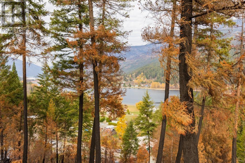 8767 Holding Rd, Adams Lake, British Columbia  V0E 1M0 - Photo 16 - 175633