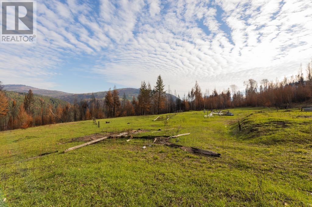 8767 Holding Rd, Adams Lake, British Columbia  V0E 1M0 - Photo 3 - 175633