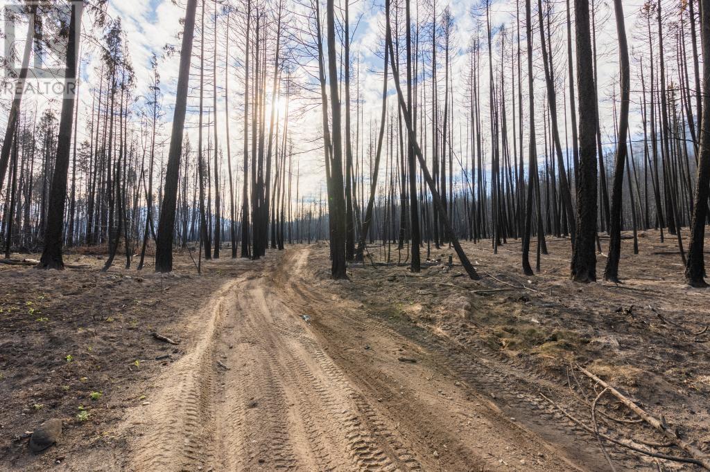 8767 Holding Rd, Adams Lake, British Columbia  V0E 1M0 - Photo 5 - 175633